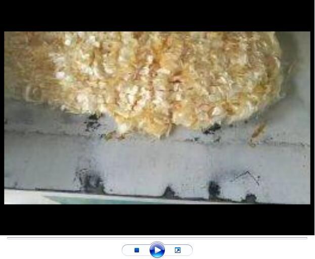 點擊查看詳細信息<br>標題：聚丙烯腈纖維生產(chǎn)中【視頻】 閱讀次數(shù)：2799